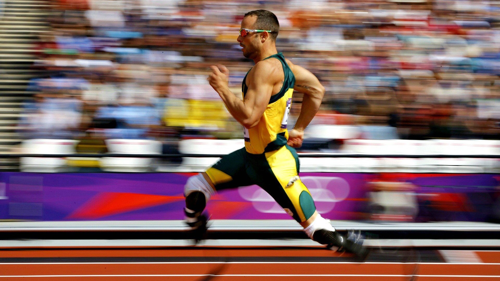 体育赛事社会影响力提升，体育赛事带来的社会效益