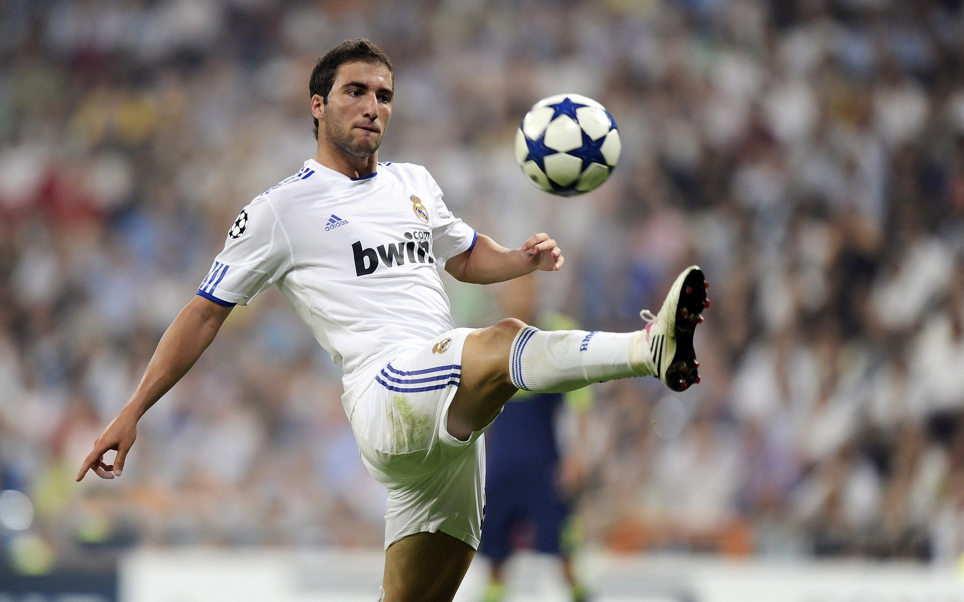 中国队决赛发挥稳定成赛场焦点,中国队进决赛