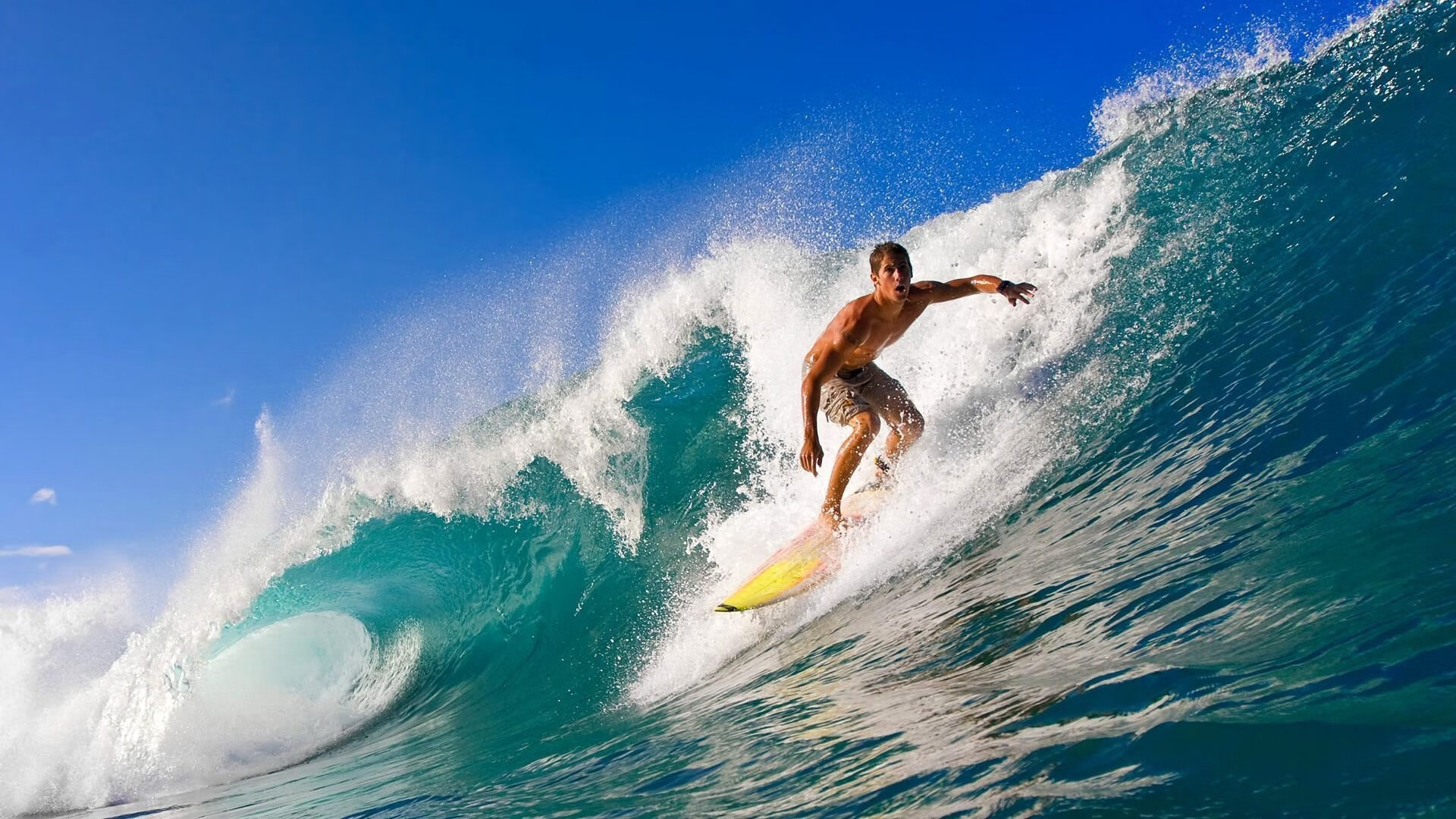 澳大利亚橄榄球赛事吸引全球观众,体育市场新机遇,澳大利亚橄榄球运动员