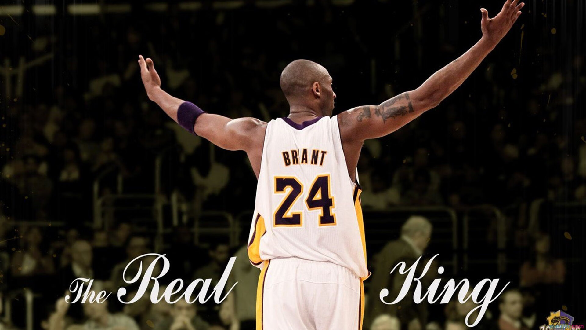 青年篮球联赛积分系统优化激发竞争积极性,青年篮球锦标赛