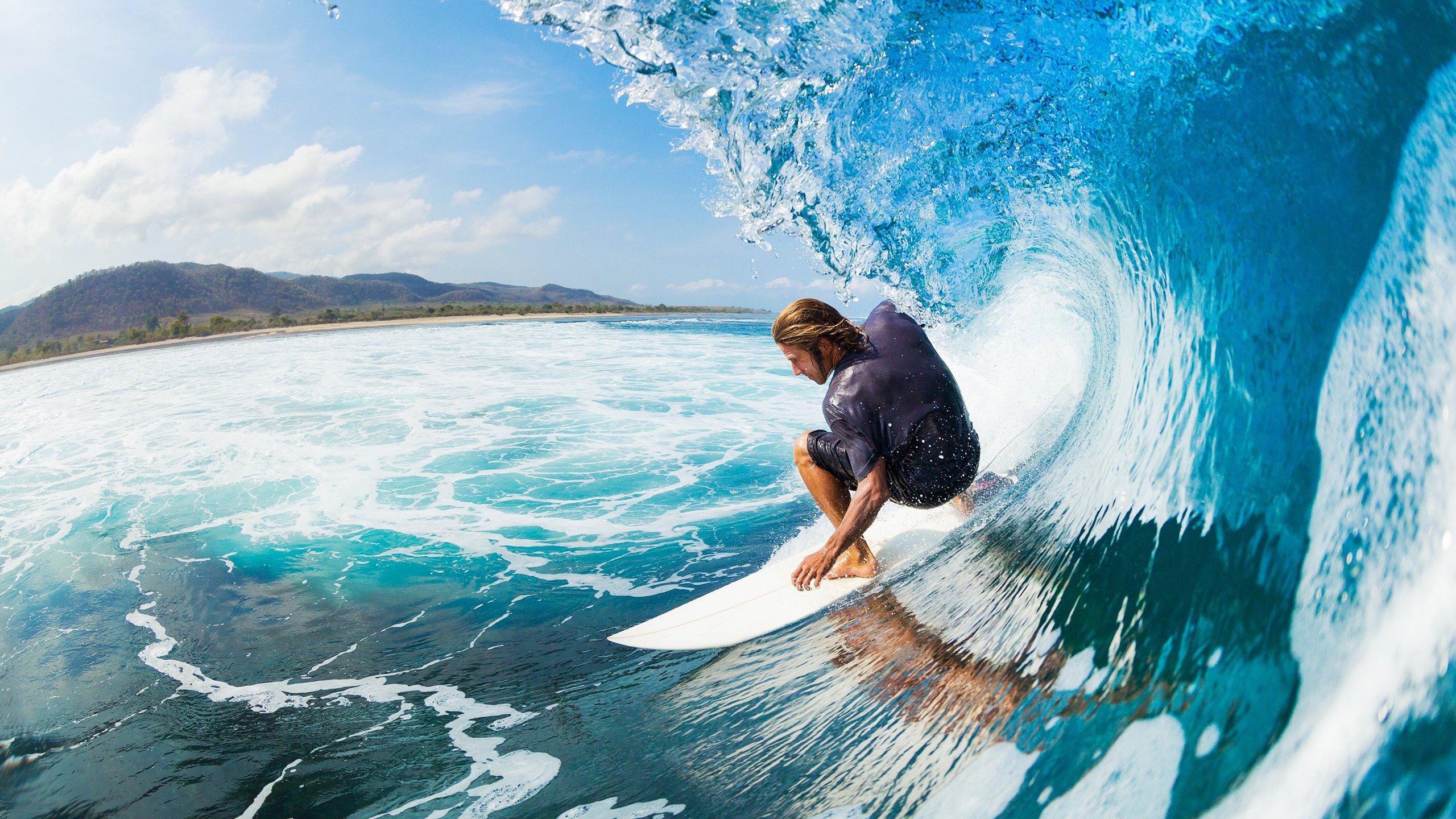 巴菲特和王传福的分歧，价值何在？，巴菲特 王传福